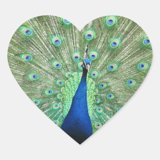 ステッカー(hrt) - Peacock ハートシール (正面)