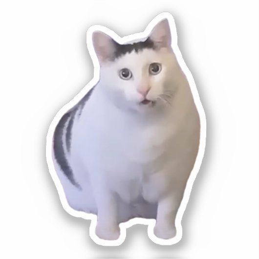 ステッカー Huh Cat Meme シール (正面)