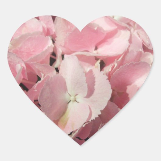 ステッカー – Pink Hydrangea (正面)
