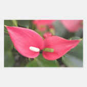 ステッカー – Red Anthurium Twins (正面)