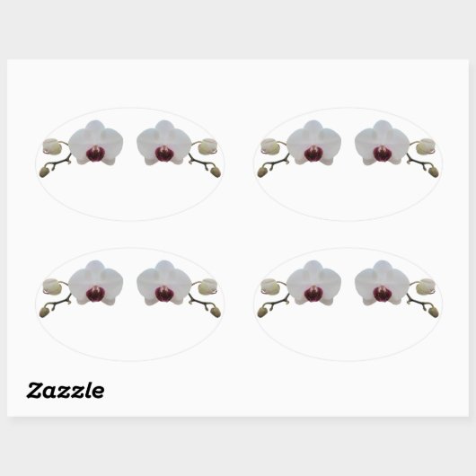 ステッカー – Ruby-Lipped White Orchid (シート)