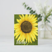 ステッキはがきの日差し ポストカード (スタンド正面)