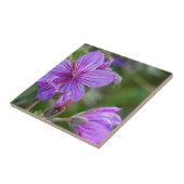 ステッキーゼラニウム山花 タイル (側面)