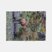 ステッグ写真毛布 フリースブランケット (正面(横))