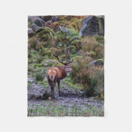 ステッグ写真毛布 フリースブランケット