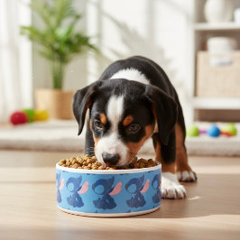 ステッチ ボウル