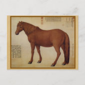 ステッド – 馬の名前はDawanliu 中国のファインアート ポストカード (正面)