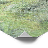 ステッピングストーンソノラン砂漠ポスターアートプリント ポスター (角)