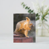 ステップに注意して ポストカード (スタンド正面)