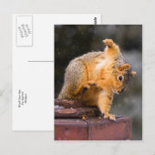 ステップに注意して ポストカード (正面/裏面)