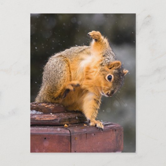 ステップに注意して ポストカード (正面)