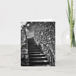 ステップのリード空白の先 カード