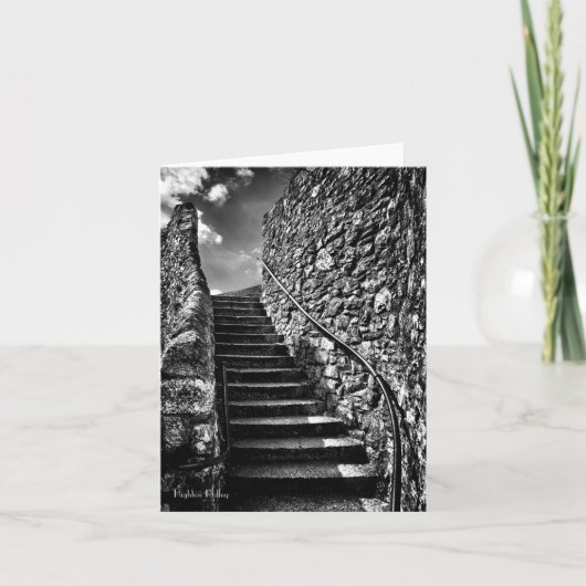 ステップのリード空白の先 カード (正面)