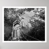 ステップの下 ポスター (正面)