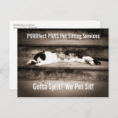 ステップアップするタキシード猫とペットの座るビジネス ポストカード (正面/裏面)