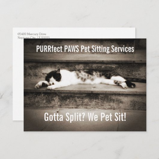 ステップアップするタキシード猫とペットの座るビジネス ポストカード (正面/裏面)