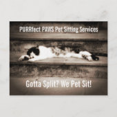 ステップアップするタキシード猫とペットの座るビジネス ポストカード (正面)