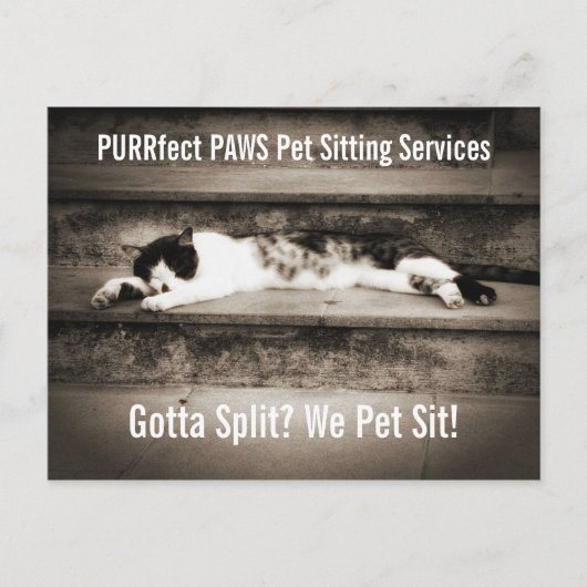 ステップアップするタキシード猫とペットの座るビジネス ポストカード (正面)