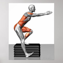 ステップダウンエクササイズ ポスター