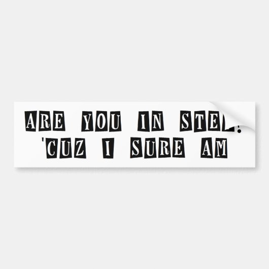 ステップバンパーステッカー バンパーステッカー (正面)