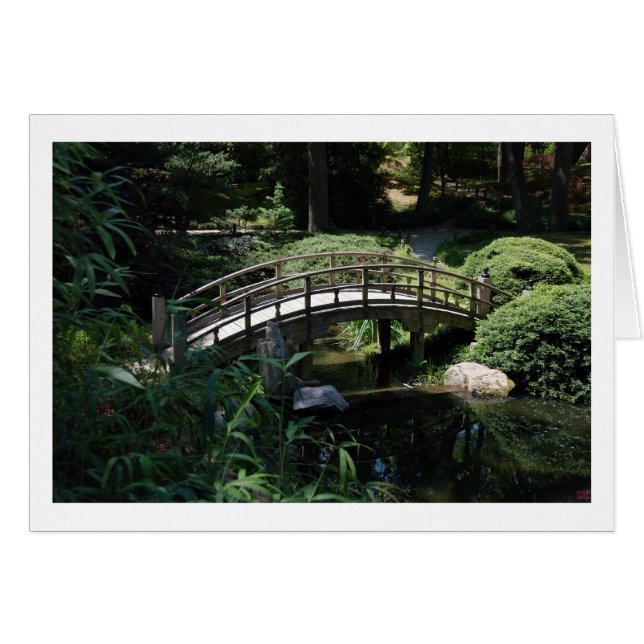 ステップ橋 (正面横)