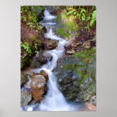 ステップ秋 ポスター (正面)