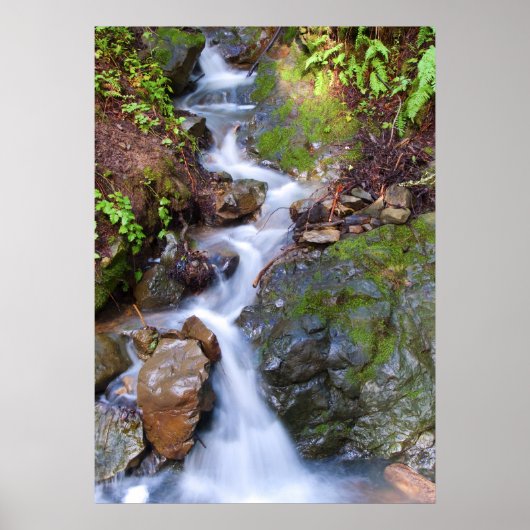 ステップ秋 ポスター (正面)