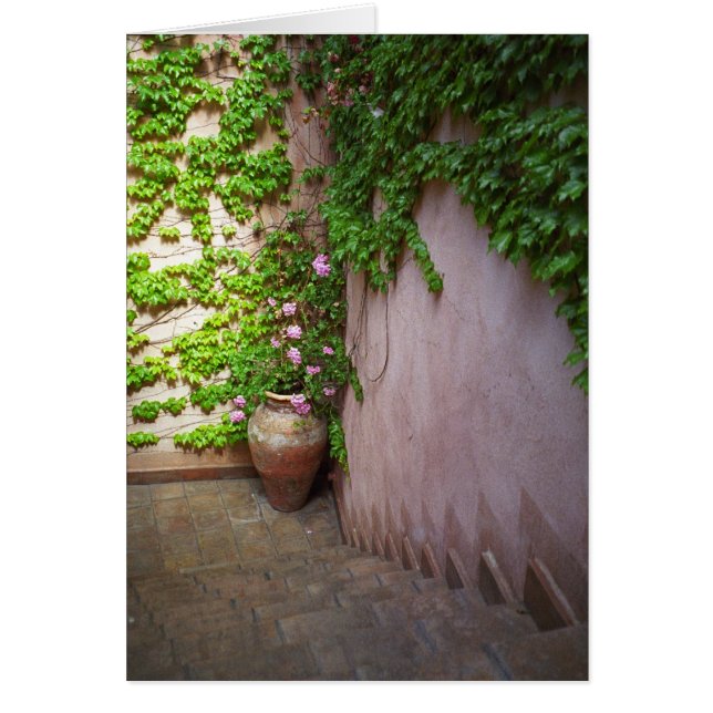 ステップ (正面)