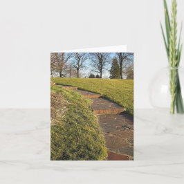 ステップ シーズンカード