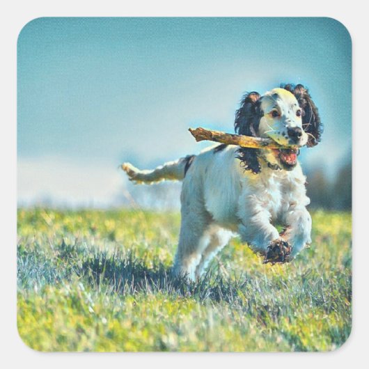 ステッランニングク付きの犬 スクエアシール (正面)
