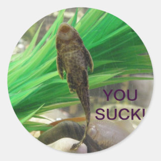 ステッ吸ク!!! ラウンドシール