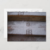 ステッ独身のプ ポストカード (正面/裏面)