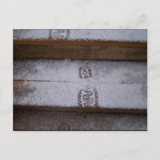 ステッ独身のプ ポストカード