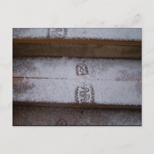 ステッ独身のプ ポストカード (正面)