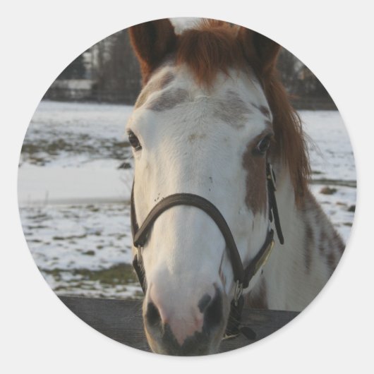 ステッ絵を描ク ラウンドシール (正面)