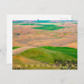 ステプトー色彩の鮮やかブットからパルーズの上 ポストカード (正面/裏面)