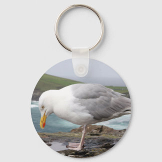 ステヘンデモエウ キーホルダー