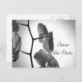 ステムウェディングの蘭の日を保存 案内ポストカード (正面/裏面)