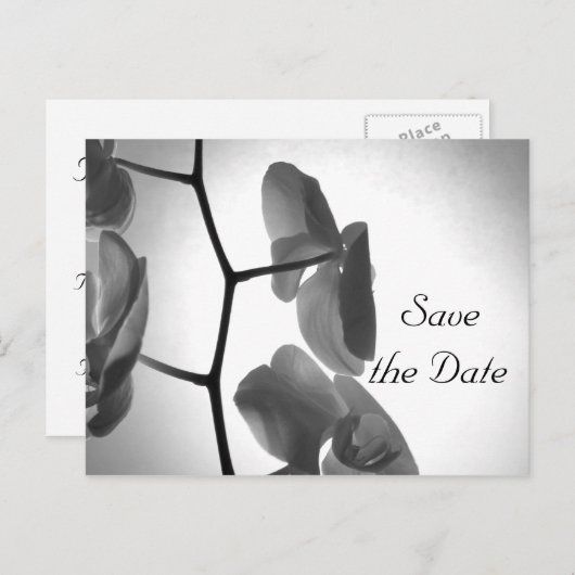 ステムウェディングの蘭の日を保存 案内ポストカード (正面/裏面)