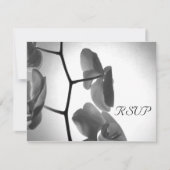 ステムウェディングRSVP応答カード上の蘭 出欠カード (正面)