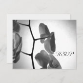 ステムウェディングRSVP応答カード上の蘭 出欠カード (正面/裏面)