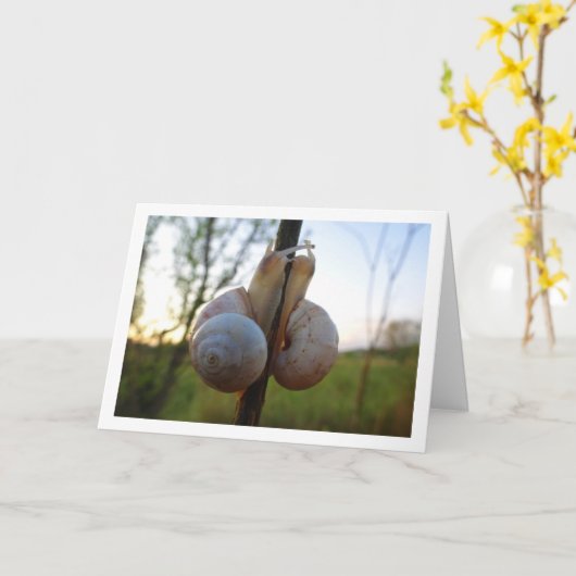 ステムカード上の2本のカタツムリ カード (黄色い花)