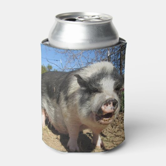 ステラとフェレシアクーラーボックス 缶クーラー (缶正面)