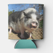 ステラとフェレシアクーラーボックス 缶クーラー (正面)