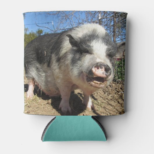 ステラとフェレシアクーラーボックス 缶クーラー (正面)