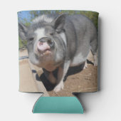 ステラとフェレシアクーラーボックス 缶クーラー (裏面)