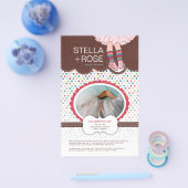 ステラフライヤー チラシ (シングル)