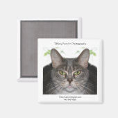 ステラプロモーション マグネット (正面/裏面)