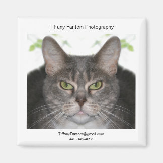 ステラプロモーション マグネット