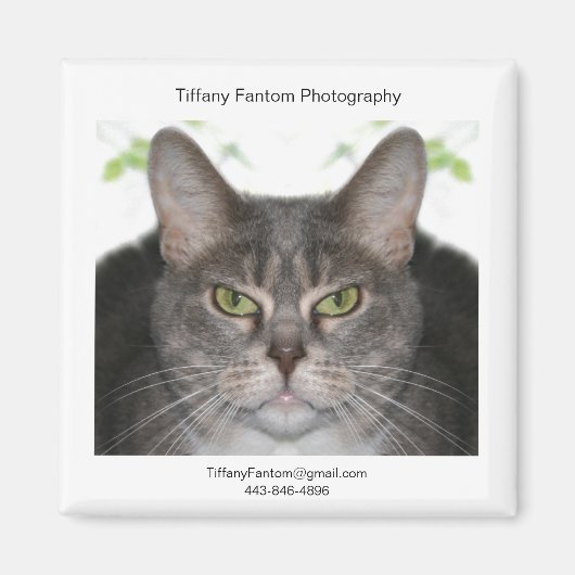 ステラプロモーション マグネット (正面)